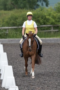 ISIS Dressage Challenge 2008